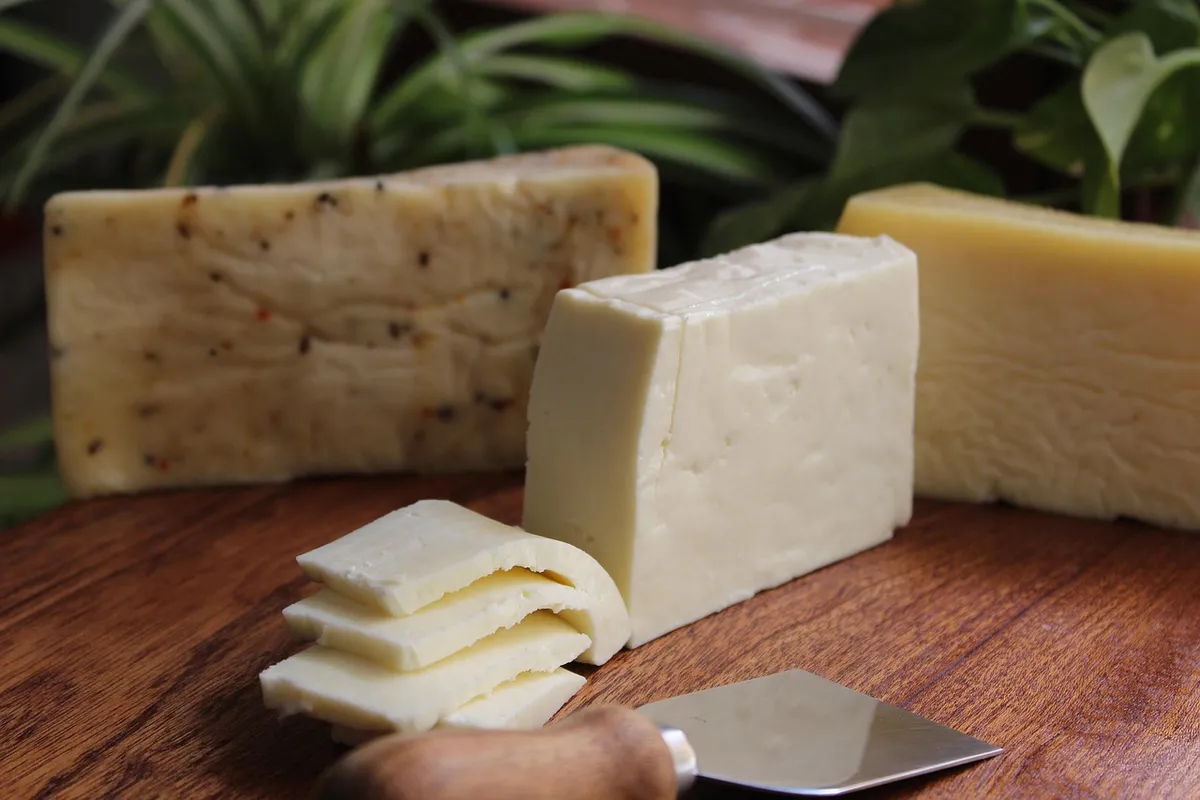 cheese, artisanal cheese, handmade cheese, cheese, cheese, cheese, cheese, artisanal cheese, artisanal cheese, artisanal cheese, artisanal cheese, artisanal che
