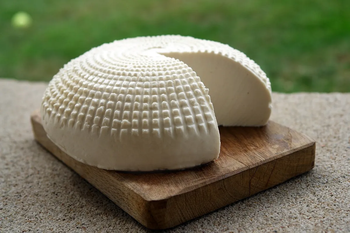 goat, milk product, cheese, food, milk, farm, white, agriculture, healthy, organic, fresh, eating, calcium, nature, lactose, breakfast, diet, raw, ingredient, f