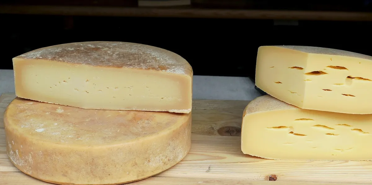 cheese, dairy product, cheese loaf, hard cheese, yummy, meal, market stall, milk, gouda cheese, loaf, food, nourishment, cheese, cheese, cheese, cheese, cheese,