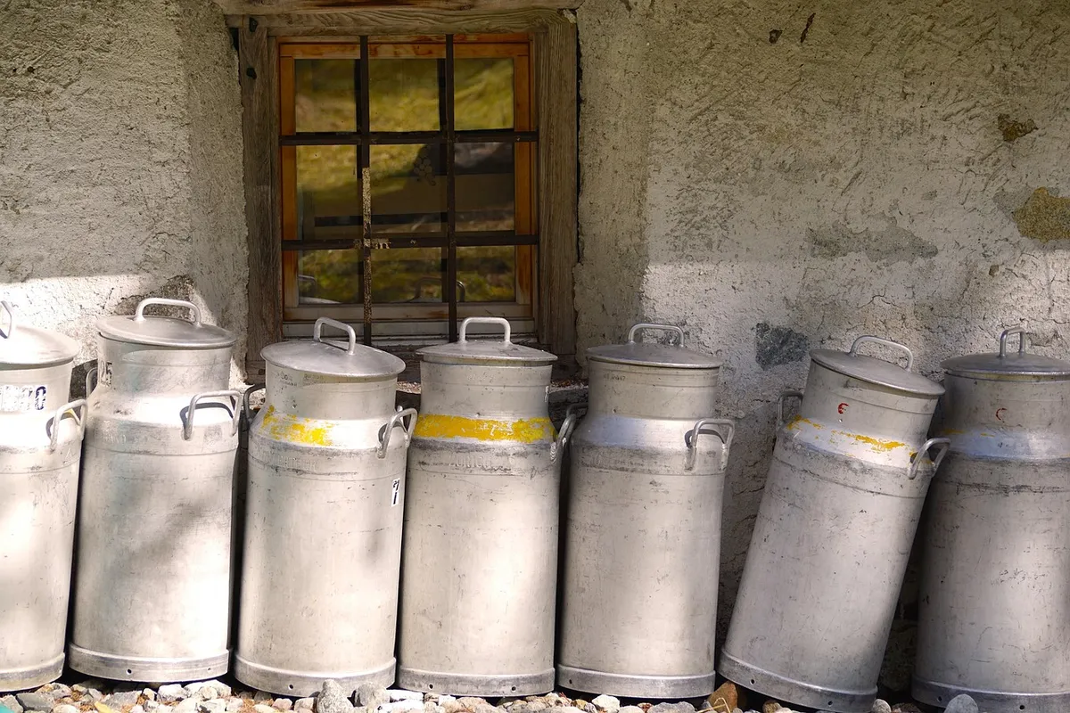 milk, milk container, milking, cow, milk production, agriculture, nature, farm yard, cheese, cheese factory, cheese making, dairy, switzerland, milk kettle, alp
