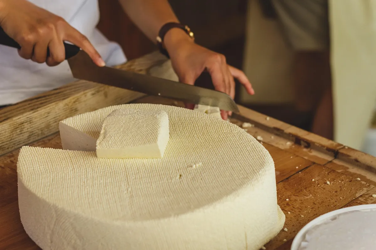 raw, cheese, cheese factory, food, dairy product, milk, white, alpine cheese, nature, cheese making, knife, to cut, try, schönegg, käsealm, agriculture, fresh,
