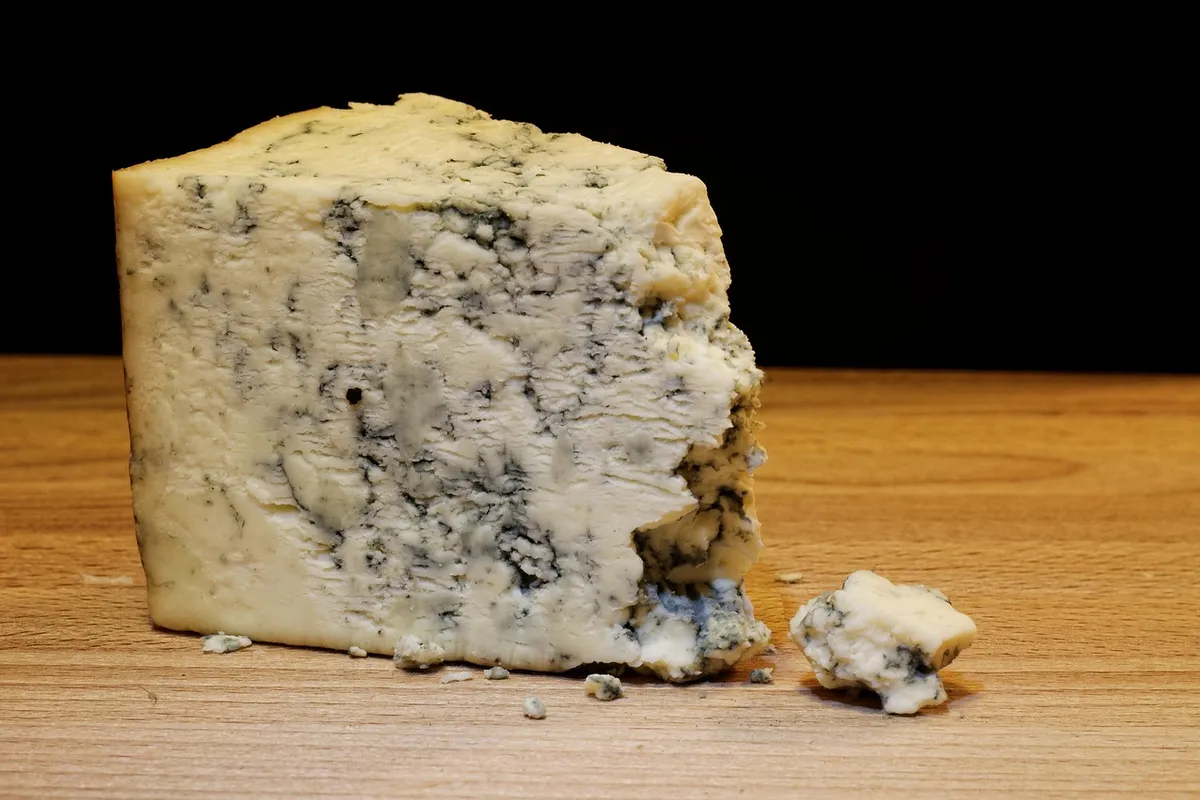 mold cheese, food, dairy, french, gourmet, product, delicious, snack, nutrition, tasty, piece, roquefort, ingredient, table, traditional, fungus, eat, ripe, wed