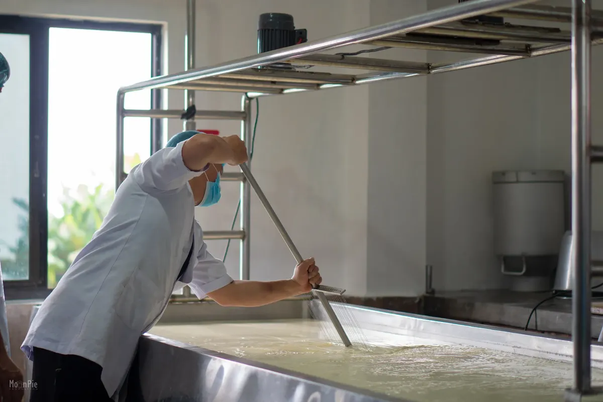 Person stirring cheese in a dairy facility in Bagmati Province, Nepal.