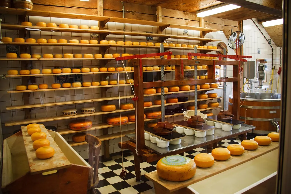 cheese, clean, commercial, dairy, equipment, factory, food, industrial, industry, make, manufacture, metal, milk, plant, nature, process, production, round, ste