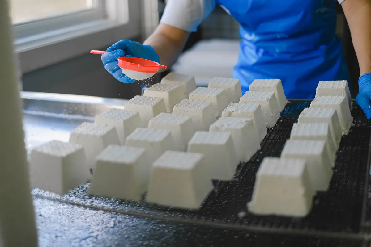 Close-up of a worker sprinkling ingredients on fresh cheese blocks in a dairy production setting.