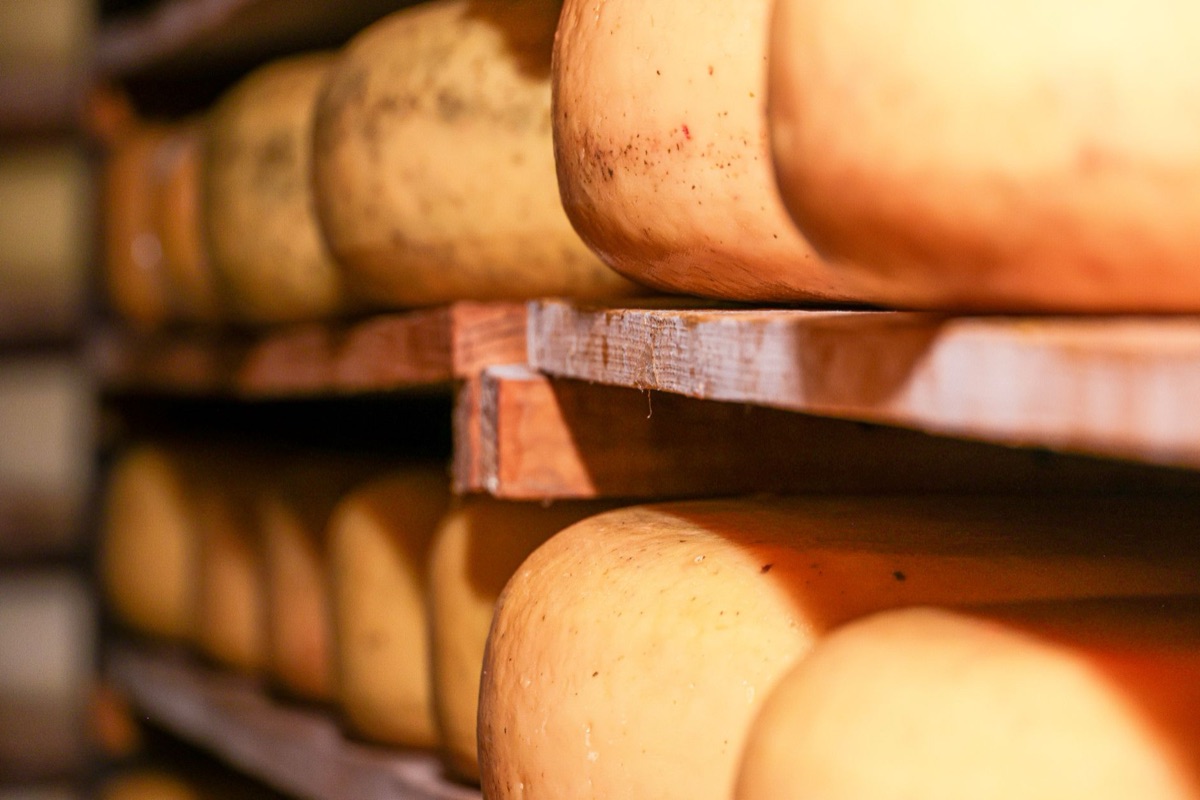 Formaggi identici in un supermercato