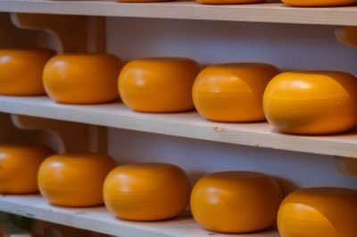 Kaas: Tips voor traditionele versus industriële smaken