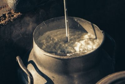 乳酪產地風味指南：了解氣候與植被如何影響乳汁成分