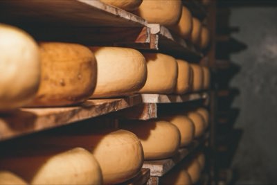 Conservación: tips para mantener la frescura de tu queso en casa