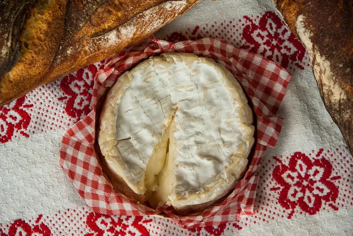 normandy, camembert, cheese, milk, cheese factory, camembert, camembert, camembert, camembert, camembert, cheese, cheese