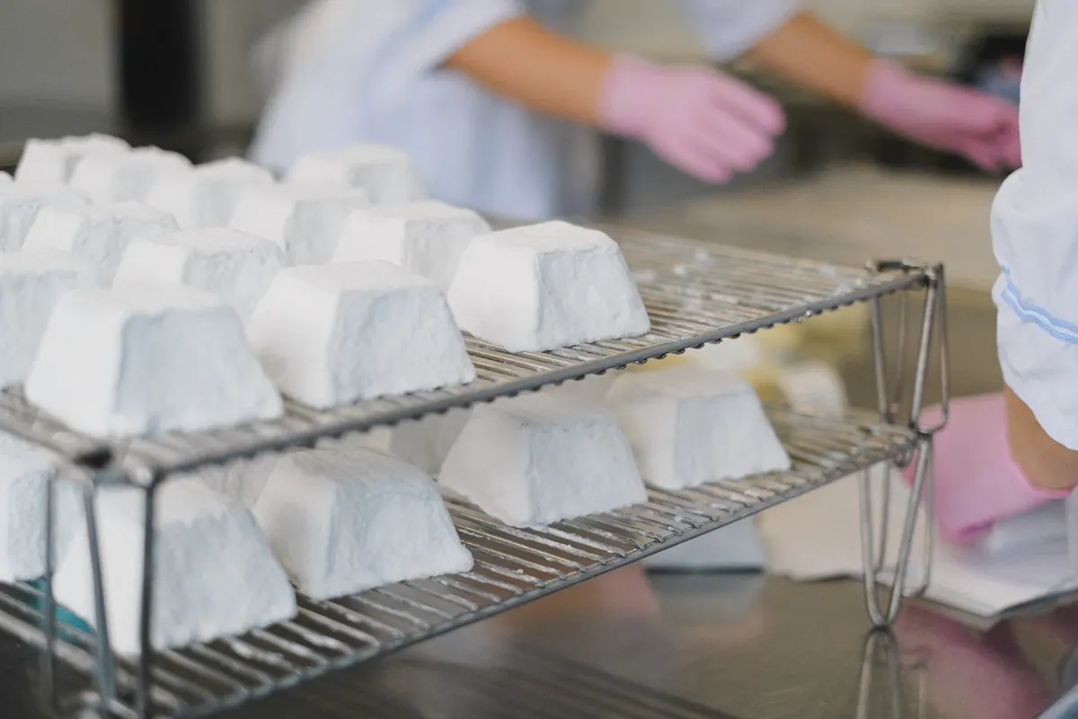 Close-up of artisanal cheese wheels on racks in a modern dairy factory.
